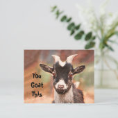 Carte Postale Chèvre mignonne Drôle Vous Chantez Ça (Debout devant)