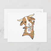 Carte Postale Chèvre Noël Chèvres Animaux d'hiver (Devant / Derrière)