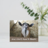 Carte Postale Chèvre souriante (Debout devant)