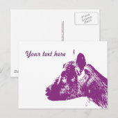 Carte Postale Chèvre Violette (Devant / Derrière)