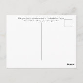 Carte Postale Chevreaux profitant du soleil (Dos)