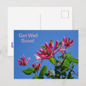 Carte postale Chèvrefeuille -Prompt rétablissement (Devant / Derrière)