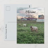 Carte Postale Chèvres à Kropyvnyk Ukraine (Devant / Derrière)