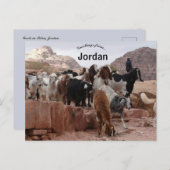 Carte Postale Chèvres à Pétra Jordanie (Devant / Derrière)