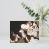 Carte Postale Chèvres Bébé Sleepy (Debout devant)