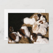 Carte Postale Chèvres Bébé Sleepy (Devant / Derrière)