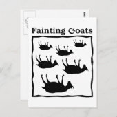 Carte Postale Chèvres évanouies (Devant / Derrière)