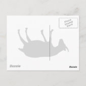 Carte Postale Chèvres évanouies (Dos)