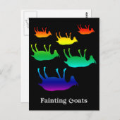 Carte Postale Chèvres évanouies (Devant / Derrière)