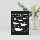 Carte Postale Chèvres évanouies (Debout devant)