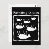 Carte Postale Chèvres évanouies (Devant / Derrière)