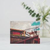 Carte Postale chèvres sur le toit (Debout devant)