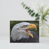 Carte postale Cheyenne (Debout devant)