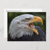 Carte postale Cheyenne (Devant / Derrière)