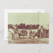 Carte Postale Cheyenne Indians on the Move, 1878 (photo b/w) (Devant / Derrière)