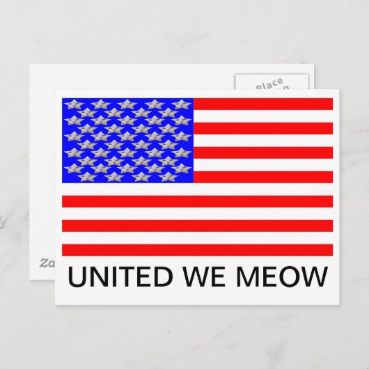 Carte Postale Chez les chats, nous avons confiance (Devant / Derrière)