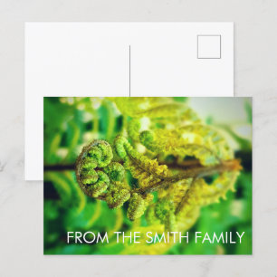 CARTE POSTALE CHIC GREEN LEAFY TROPICAL FERN NOUVELLE-ZÉLANDE