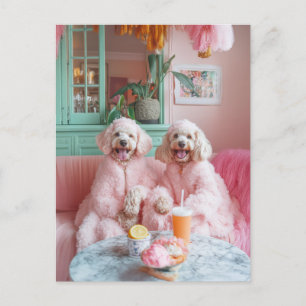 Carte Postale Chic Labradooda dans Pink Lounge