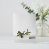 Carte Postale chic mini of booaniary (Debout devant)