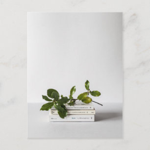 Carte Postale chic mini of booaniary