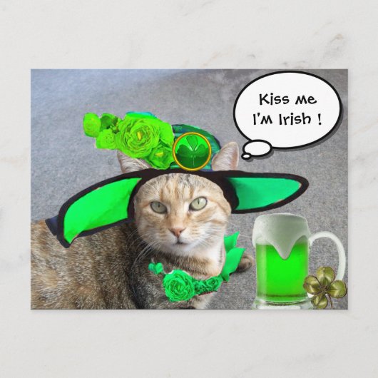 CARTE POSTALE CHIC ST.PATRICK'S DAY CAT, ROSES VERTS, BIÈRE IRLA (Devant)