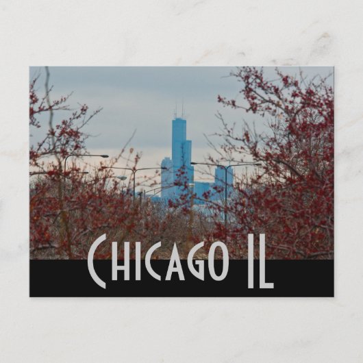 Carte Postale chicago (Devant)
