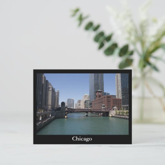 Carte Postale Chicago (Debout devant)
