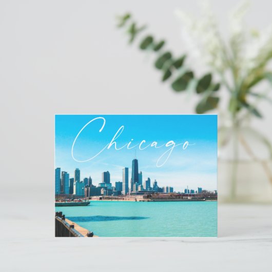 Carte postale Chicago (Debout devant)