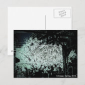 Carte Postale Chicago Blossoms Abstrait (Devant / Derrière)
