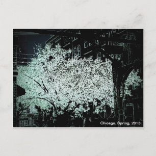 Carte Postale Chicago Blossoms Abstrait