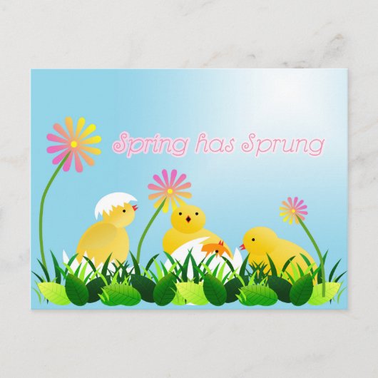Carte Postale Chiches de printemps mignons (Devant)