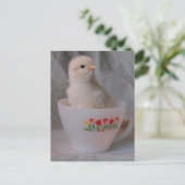Carte Postale Chick en Teacup Vintage (Debout devant)