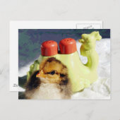 Carte Postale Chick et Camel (Devant / Derrière)