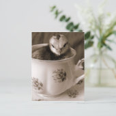 Carte Postale Chick In A Tea Cup (Debout devant)