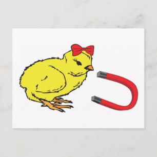 Carte Postale Chick Magnet drôle homme de dame