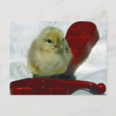 Carte Postale Chick musical (Devant)