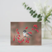 Carte Postale CHICKADEE & BERRIES ROUGES par SHARON SHARPE (Debout devant)