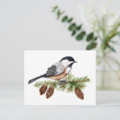 Carte Postale Chickadee d'hiver (Debout devant)