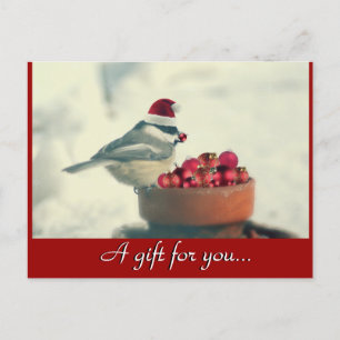 Carte Postale Chickadee Holiday Certificat cadeau