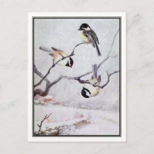 Carte Postale Chickadee vintage à capuchon noir - R. Bruce Horsf