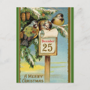 Carte Postale Chickadees modifiables à Noël 25 décembre