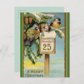 Carte Postale Chickadees modifiables à Noël 25 décembre (Devant / Derrière)