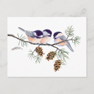Carte Postale CHICKADEES & PINECONES par SHARON SHARPE