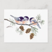 Carte Postale CHICKADEES & PINECONES par SHARON SHARPE (Devant)