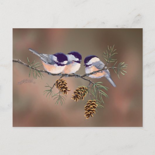 Carte Postale CHICKADEES & PINECONES par SHARON SHARPE (Devant)