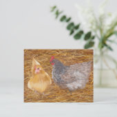 Carte Postale Chicken Friends JW (Debout devant)