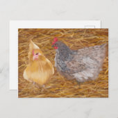 Carte Postale Chicken Friends JW (Devant / Derrière)