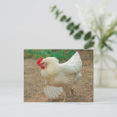 Carte Postale Chicken Funky Hen Hy Line Silver Brown (Debout devant)