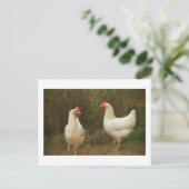 Carte Postale Chicken Funky Hen Hy Line Silver Brown (Debout devant)