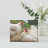 Carte Postale Chicken Funky Hen Hy Line Silver Brown (Debout devant)